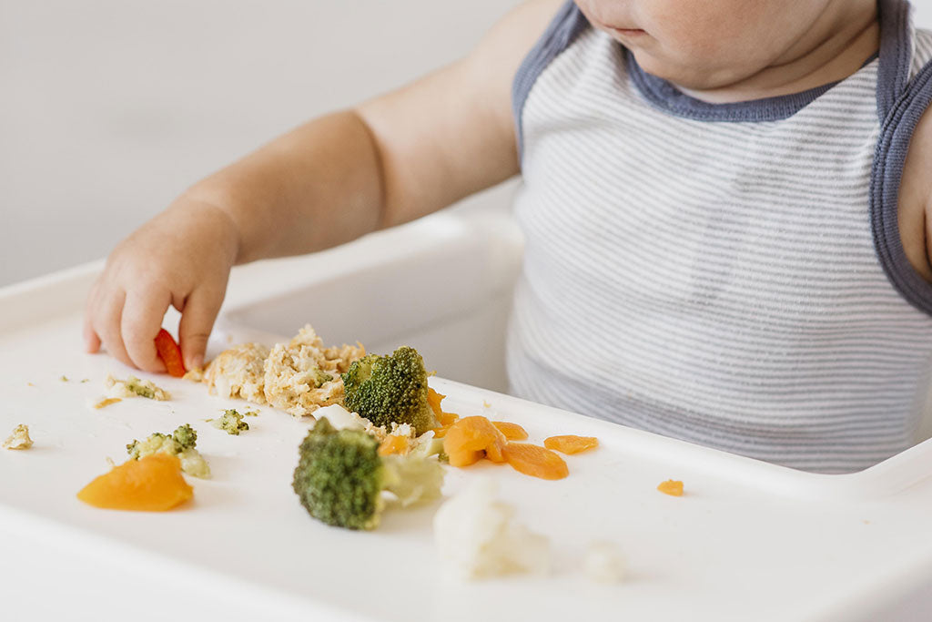 Alimentación complementaria - Balia